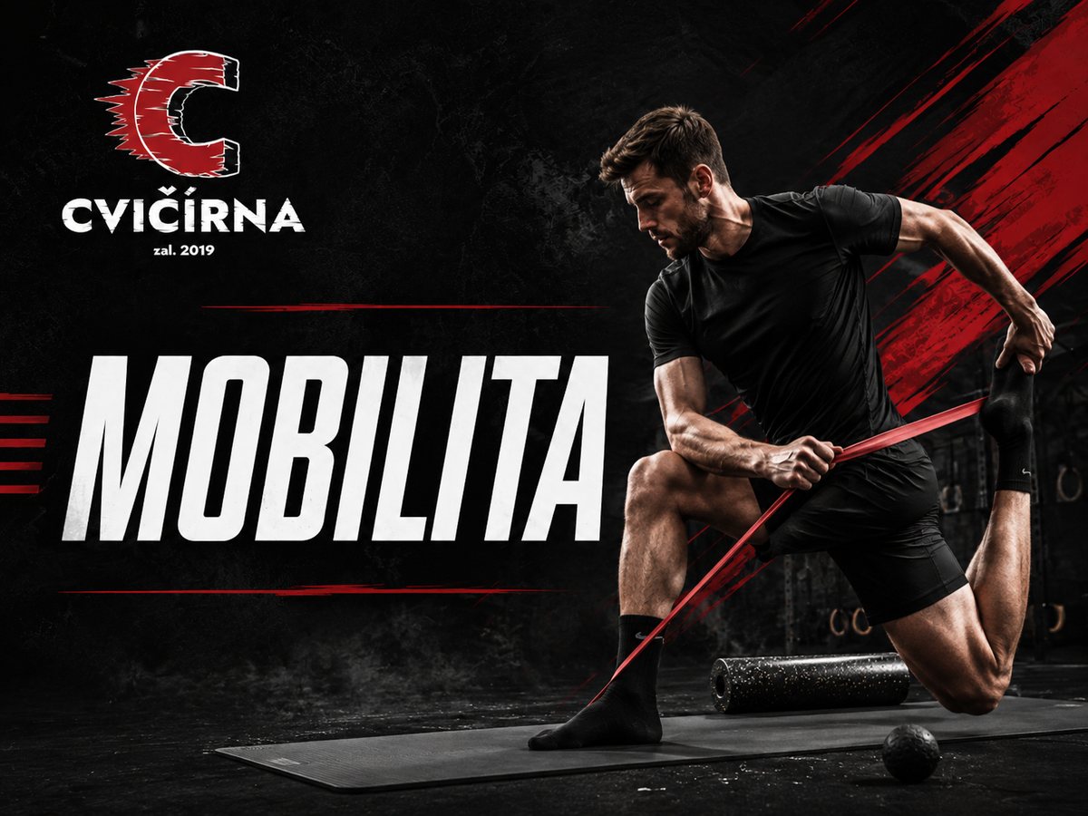MOBILITA