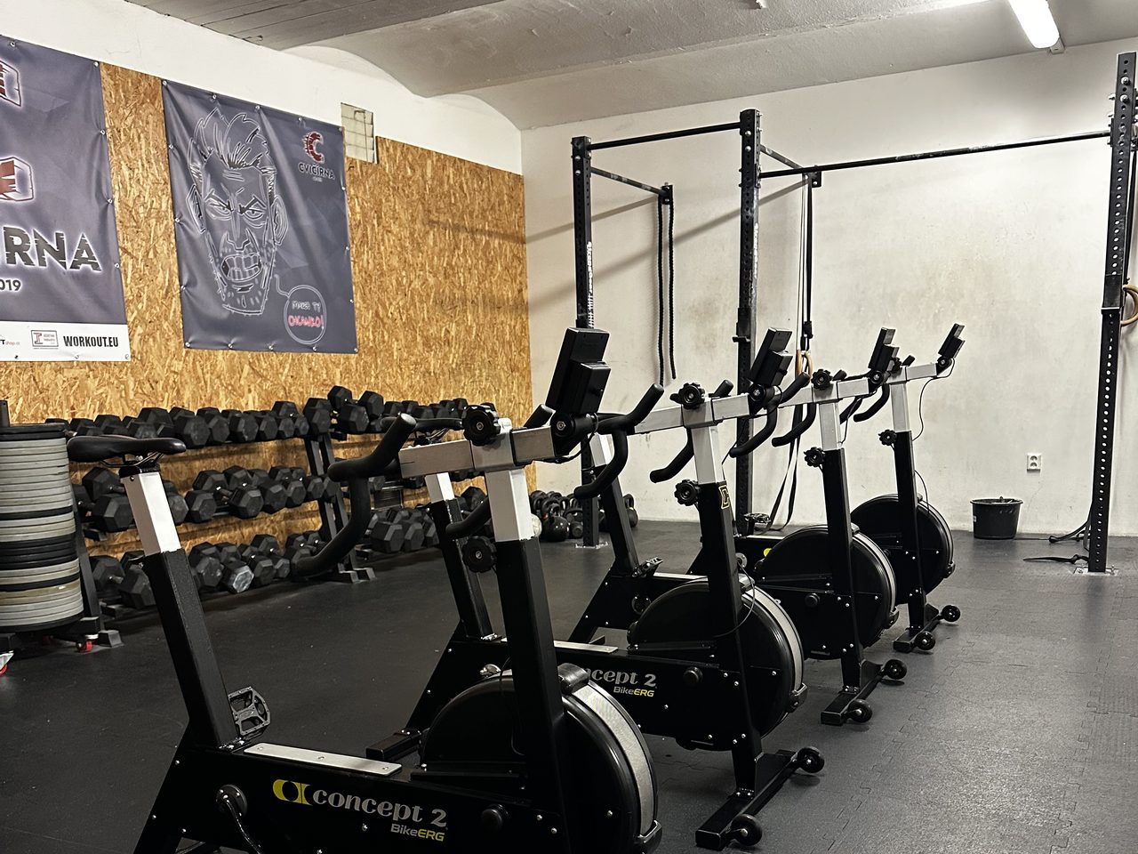 Řada rotopedů Concept2 v cardio zóně